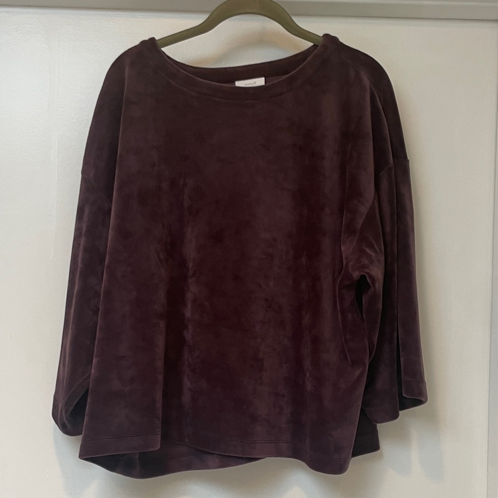 ❤️ 5/$15 Women's Burgundy Velvet Top